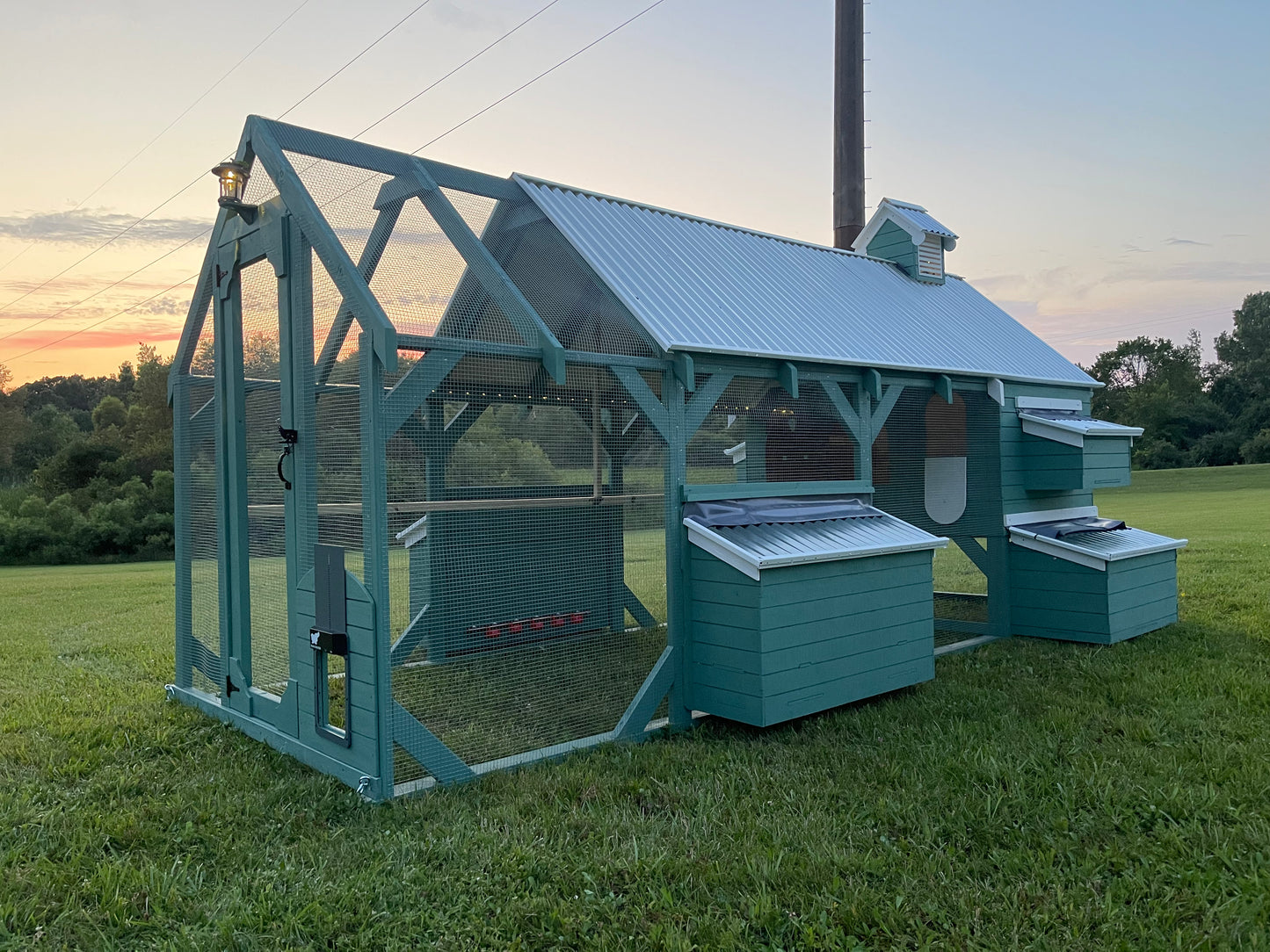 The Deep Litter Coop