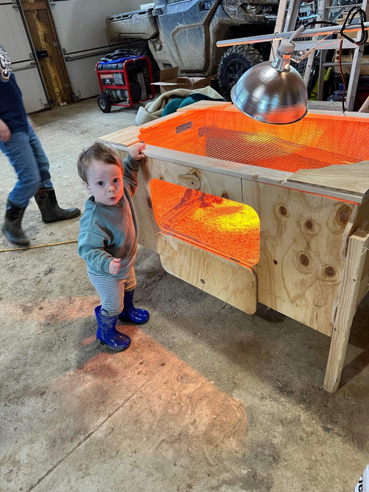 Ben's EZ Brooder