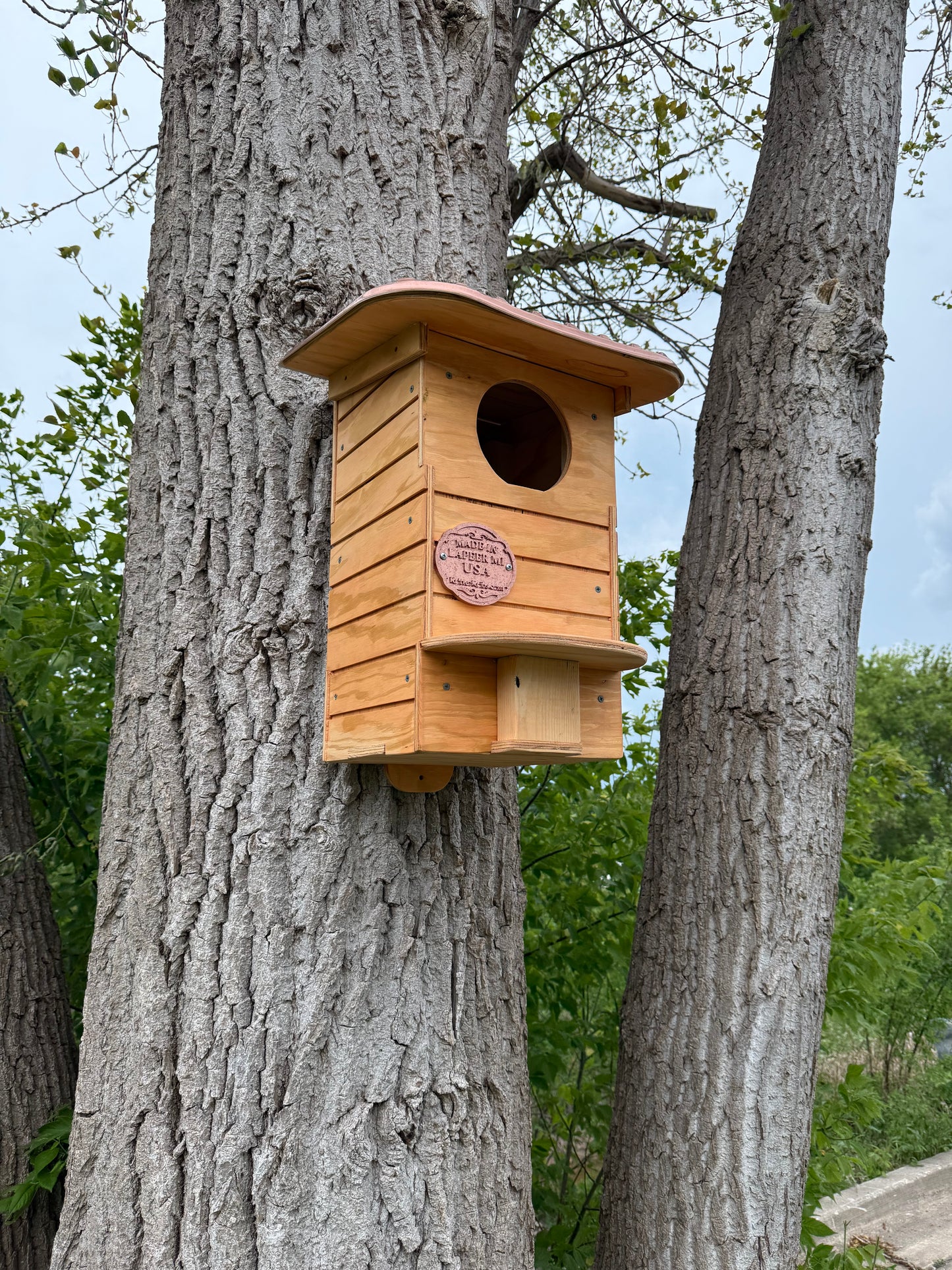 Owl House Kit | Screech Owl Nesting Box | DIY Wooden Owl House | Weatherproof Owl Box Kit | Easy Assembly Birdhouse Kit