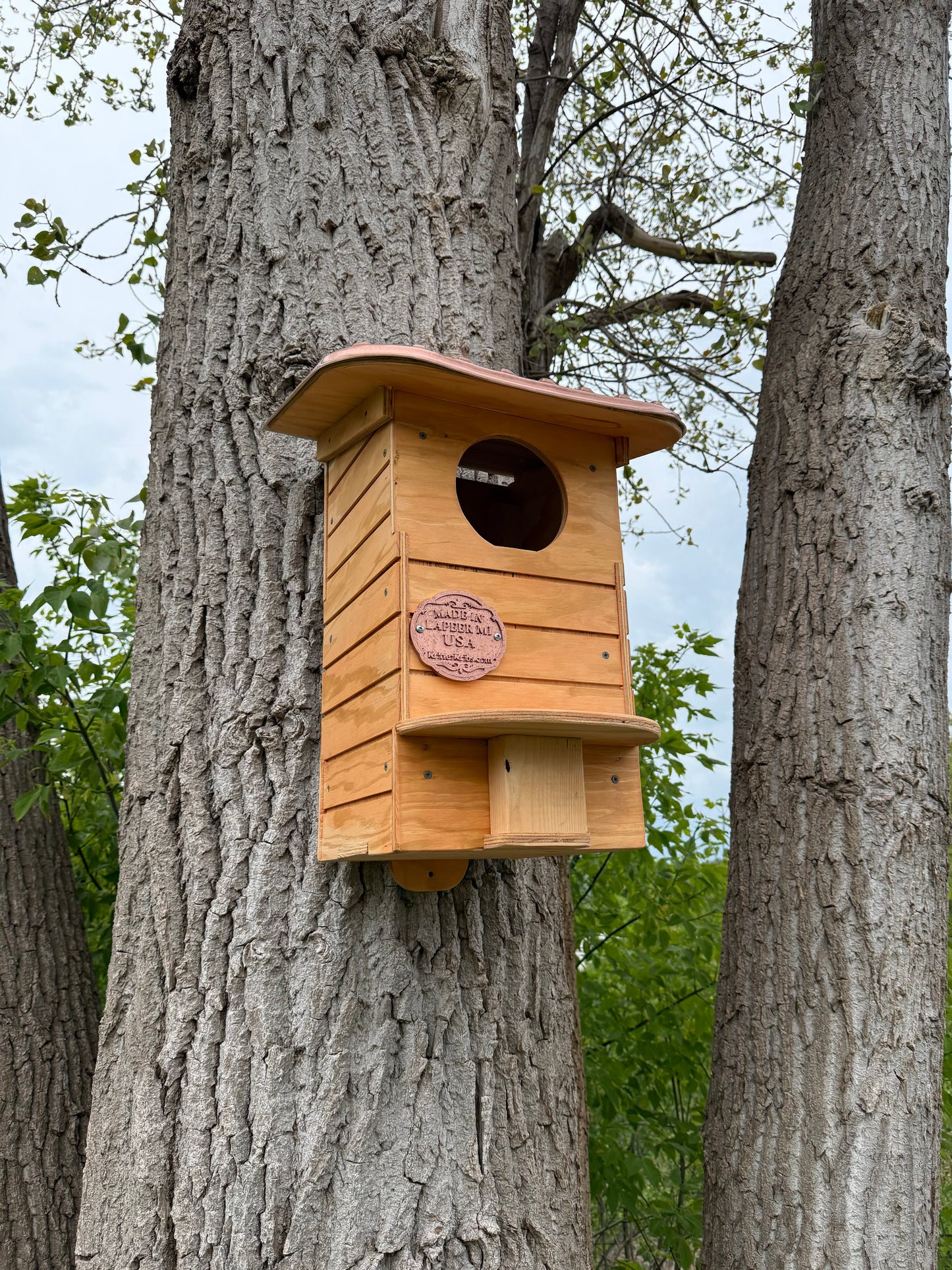 Owl House Kit | Screech Owl Nesting Box | DIY Wooden Owl House | Weatherproof Owl Box Kit | Easy Assembly Birdhouse Kit