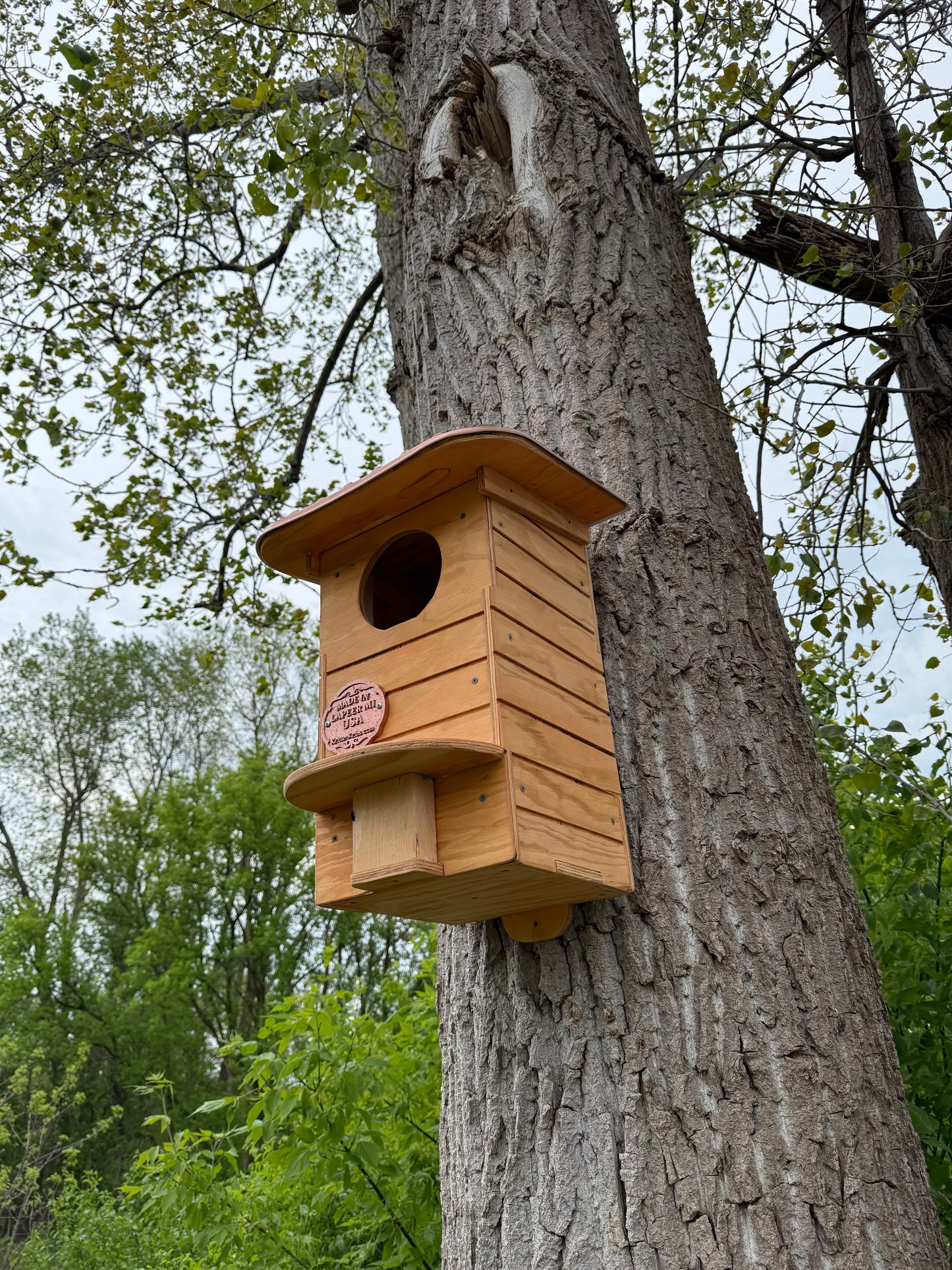 Owl House Kit | Screech Owl Nesting Box | DIY Wooden Owl House | Weatherproof Owl Box Kit | Easy Assembly Birdhouse Kit