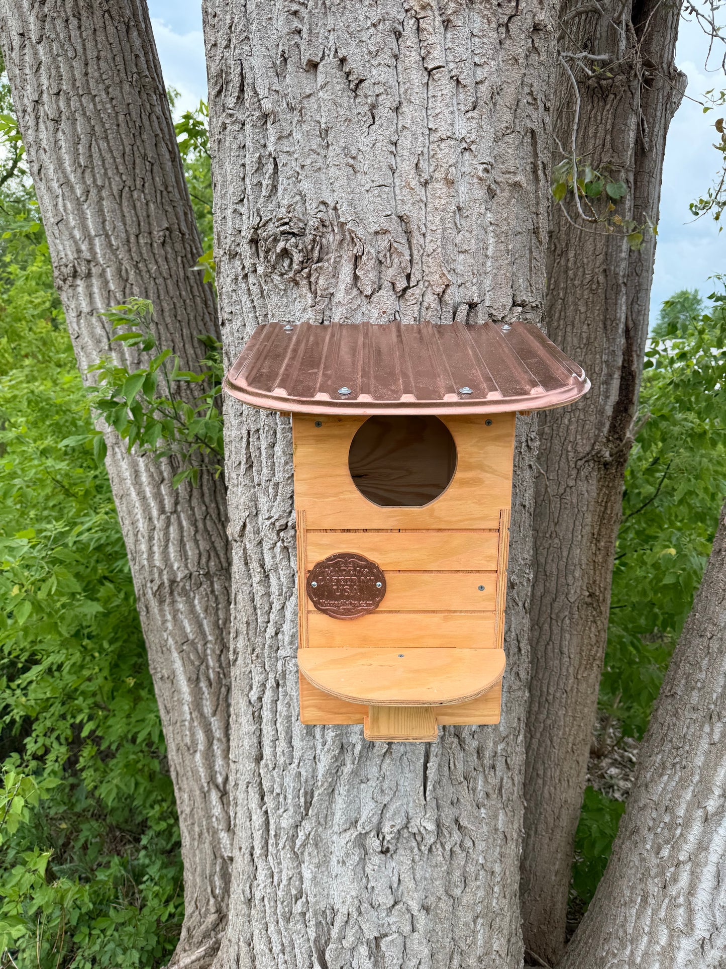 Owl House Kit | Screech Owl Nesting Box | DIY Wooden Owl House | Weatherproof Owl Box Kit | Easy Assembly Birdhouse Kit