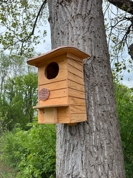 Owl House Kit | Screech Owl Nesting Box | DIY Wooden Owl House | Weatherproof Owl Box Kit | Easy Assembly Birdhouse Kit
