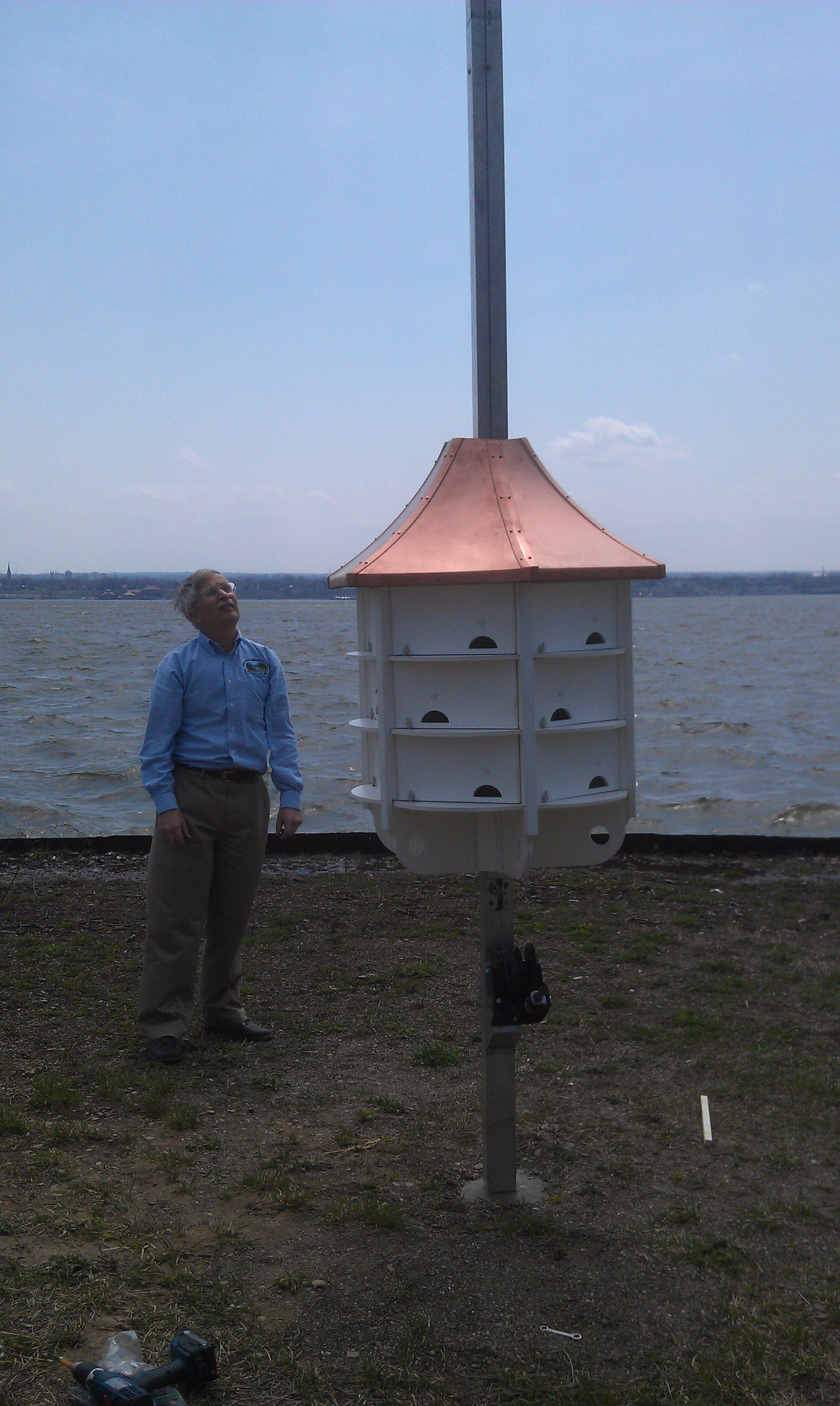 Purple Martin House