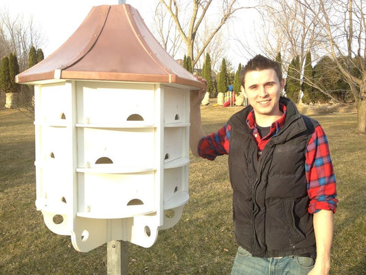 Purple Martin House