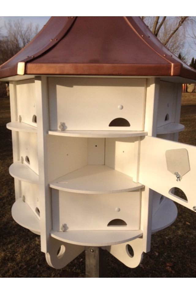 Purple Martin House