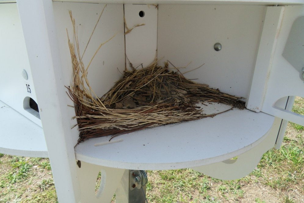 Purple Martin House