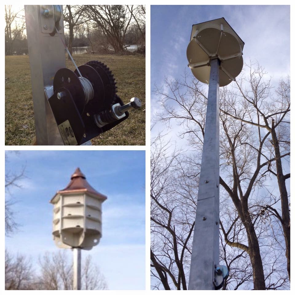 Purple Martin House
