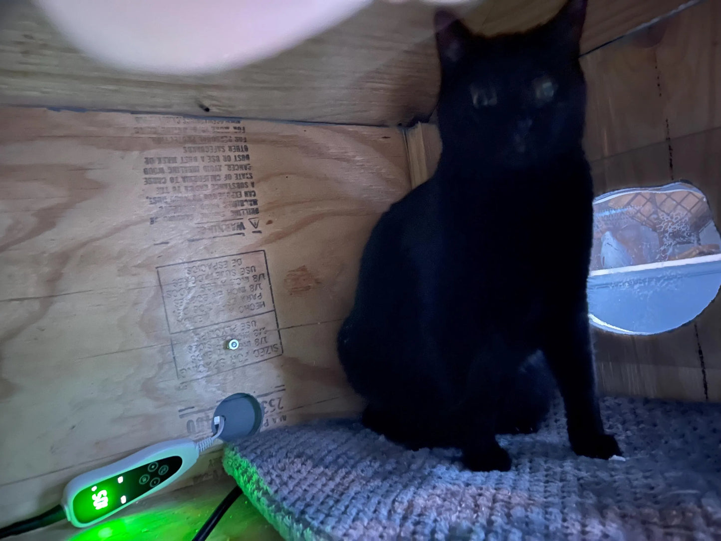 Kritter Kribs Cat House — Flat-Packed Unpainted DIY Kit with Vacuum-Formed Roof