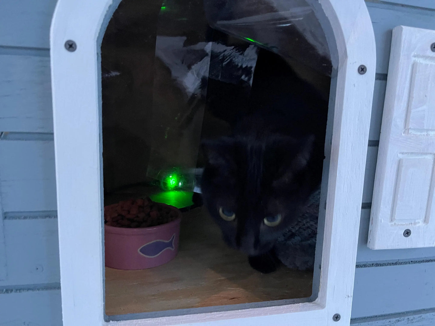 Kritter Kribs Cat House — Flat-Packed Unpainted DIY Kit with Vacuum-Formed Roof